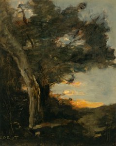 Sonnenuntergang mit einer Löwin von Jean Baptiste Camille Corot